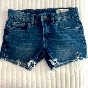 BlankNYC distressed Hiker shorts 24